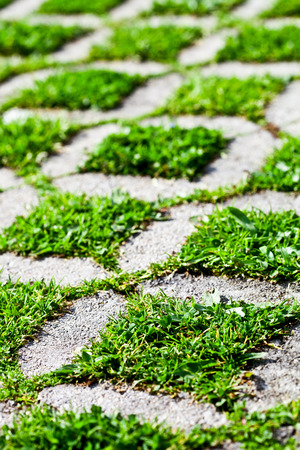 stone block walk path in the park with green grass background の写真素材
