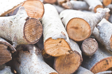 Background of dry chopped firewood logs in a pile