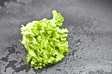 Green organic lettuce salad with water drops on black background. Top view with copy space.の写真素材