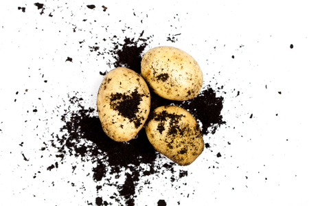 Fresh organic potatoes and soil isolated on white background. Raw food top view.の写真素材
