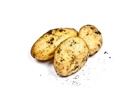 Newly harvested dirty potatoes heap isolated on white background. Fresh organic food.の写真素材