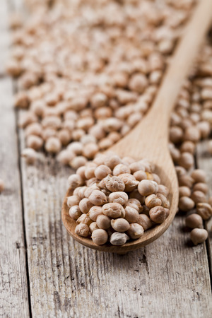 Fresh raw organic chickpeas in wooden spoon on rustic wooden table background. Healthy food with copy space.の写真素材