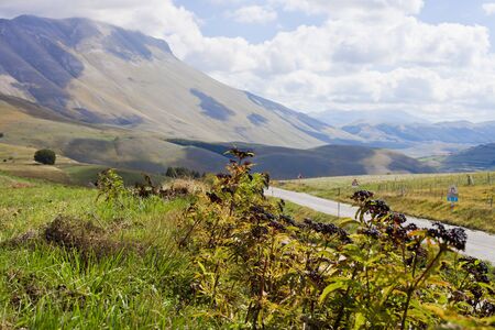 National Park of the Sibillini Mountains. Fields in Castelluccio di Norcia, Umbria, Italy.の写真素材