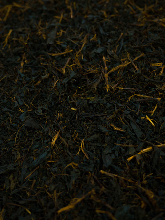 Production of processing tea leaves.の写真素材