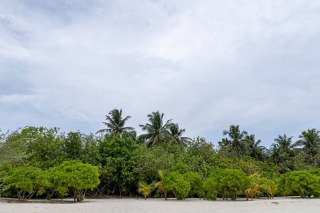 tropical beach in Maldives with few palm treesの写真素材