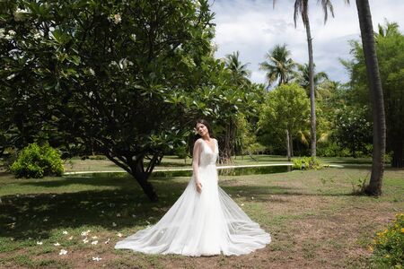 A bride in a white dress with an exotic flower in her hair is standing under a flowering tropical tree.の写真素材