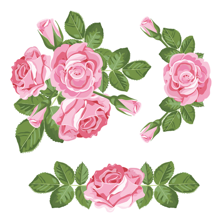 Set collection of pink roses with leaves isolated on white background. Vector illustration. Can use for greeting cards, wedding invitations, patterns.のイラスト素材