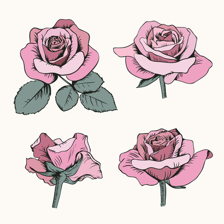 Set collection of pink roses with leaves isolated on white background. Vector illustration. Can use for greeting cards, wedding invitations, patterns.のイラスト素材