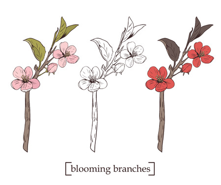 Blooming tree. Set collection. Hand drawn botanical blossom branches in different color variations on white background.のイラスト素材