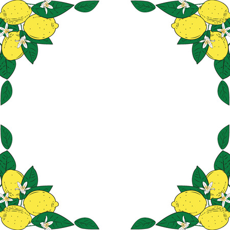 Tropical citrus lemon fruits with flowers frame. Summer colorful background for advertising, packaging design. Vector illustration.のイラスト素材