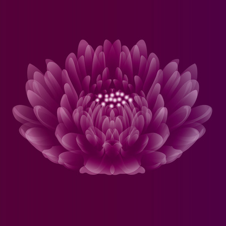 Beautiful flower on purple pink background. Vector illustration.のイラスト素材