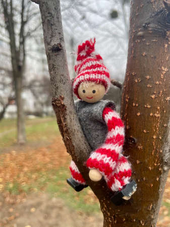 Little toy smiling Christmas elf made of wood and cloth sitting on a tree outdoorsの写真素材