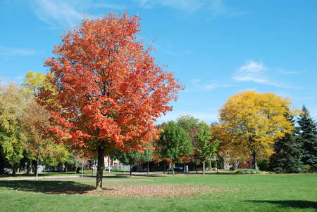 Humber Park