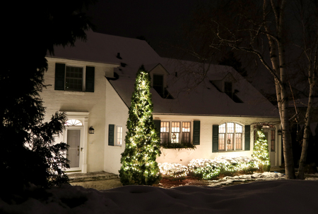 Outdoor decorated christmas tree covered by fresh snow glowing in the dark. Christmas and New Year background. Night scene.のeditorial素材