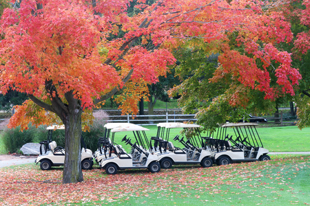 Fall landscape with golf cart parking spot under red colored maple treeの写真素材