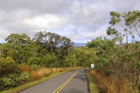 Mauna Loa lower level landscape. Scenic morning view with paved road to the summit between tress and bushes.の写真素材