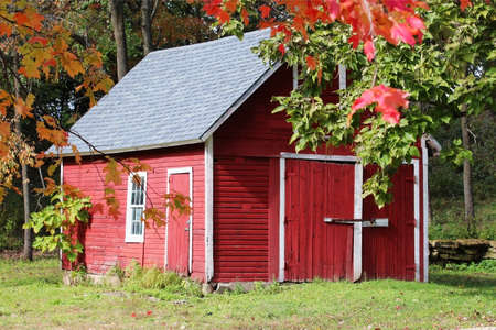 Colors of autumn. Scenic view with classic Wisconsin red barn between maple trees brunches with bright colors leaves. Midwest nature background.の写真素材