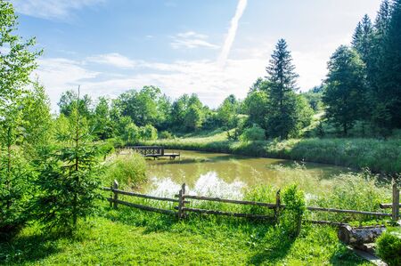 Pastoral landscape. Summer sunny day, blue sky. Forest lake, surrounded by lush vegetation of grasses and forest.の写真素材