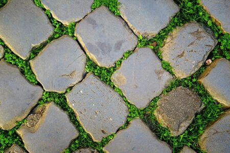 The texture of the old road. Gray cobblestones of paving stones, between them grows young green shoots of grass.の写真素材