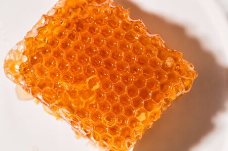 Close up, macro. Golden honeycomb lies on a white plate. White plate on the background.の写真素材