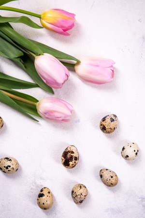 A brown quail eggs on a white background. Nearby are pink tulips. Preparing for Easter. Vertical oriented. Top view, flat lay.の写真素材