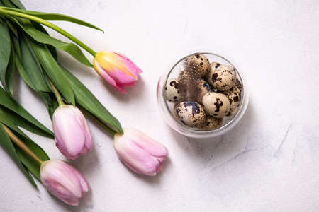 Close up. A bunch of brown quail eggs in a transparent bowl. Nearby are pink tulips. Preparing for Easter. Copy space, top view, flat lay.の写真素材