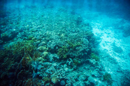 Underwater barrier reef slope. View from the bathyscaphe.の写真素材