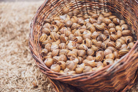 Close up. A brown wicker basket filled with empty snail shells.の写真素材