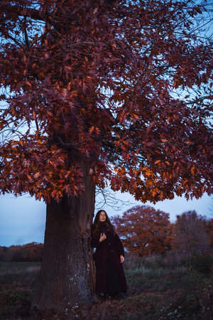 A young girl in a coat stands under an ancient tree covered with brown autumn leaves in the evening park.の写真素材