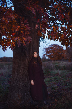 Vertical portrait. A young girl is thoughtfully standing near a tree in an evening autumn park.の写真素材