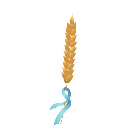 Spikelet of wheat with blue ribbonのイラスト素材