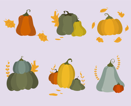 Set of cartoon colorful pumpkins. Halloween and thanksgiving vector symbol. Flat illustration of autumn harvest elements of squash with leavesのイラスト素材