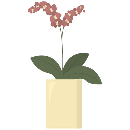 Homeplant in flower pot isolated on the white background. Blooming orchid. Tropical plant at homeのイラスト素材
