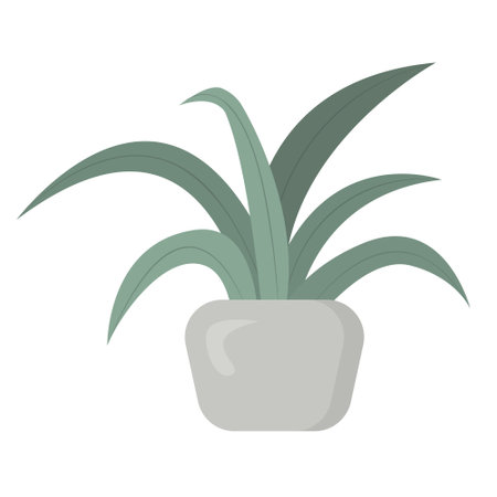 Green houseplant in flower pot isolated on white backgroundのイラスト素材