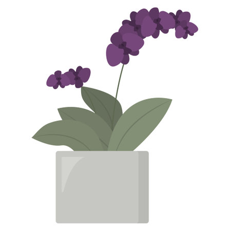Homeplant in flower pot isolated on the white background. Blooming purple orchid. Tropical plant at homeのイラスト素材