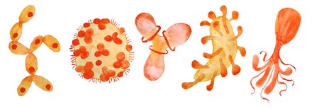 Hand drawn watercolor orange yellow red viruses and bacteria isolated set. Microscopic cell illness,...