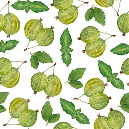 seamless watercolor hand drawn pattern with green yellow gooseberry berries and mint leaves. Organic intense bright vibrant colors healthy fresh tasty food vegan vegatarian vitamin on white isolated backgroundの写真素材