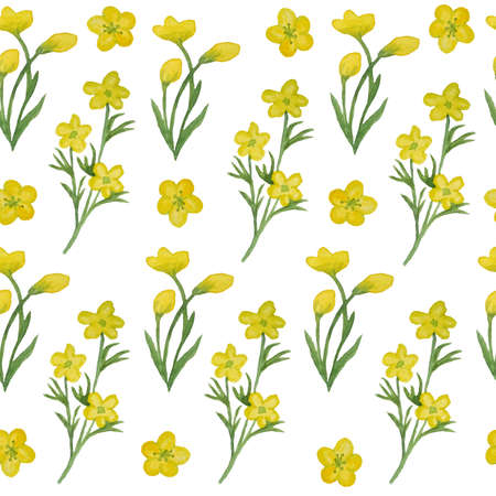 Seamless hand drawn watercolor pattern with yellow buttercup ranunculus, green wild herbs flowers leaves in wood woodland forest. Organic natural plants, floral botanical design for wallpapers textile wedding invitationの写真素材