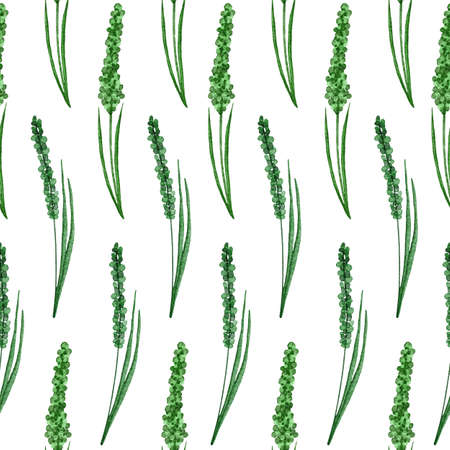 Watercolor hand drawn seamless pattern with green leaves natural leaf greenery, wild herbs fabricprint design. Elegant foliage background for wallpaper textile.の写真素材