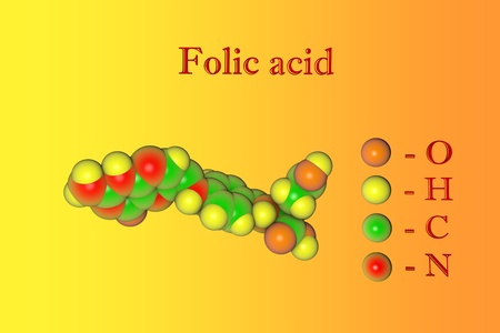 Molecular model of folic acid, vitaminB9. Atoms are represented as spheres with color coding: oxygen (orange), hydrogen (yellow), carbon (green), nitrogen (red). 3d illustrationの写真素材