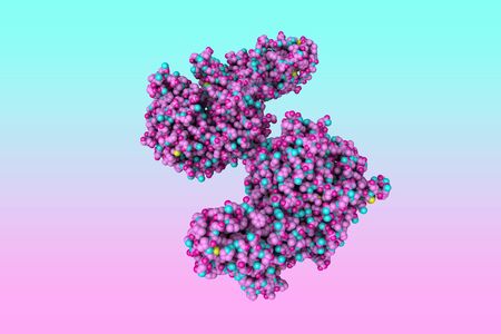 Space-filling molecular model of spike protein receptor-binding domain from the 2002-2003 SARS...