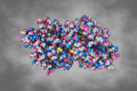 Bisphosphoglycerate mutase. Space-filling molecular model on gray background. Rendering based on protein data bank entry 3nfy. Scientific background. 3d illustrationの写真素材