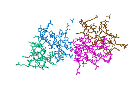 Human defensin-5. Molecular pattern isolated on white background. Rendering with differently colored protein chains based on protein data bank entry 1zmp. Scientific background. 3d illustrationの写真素材