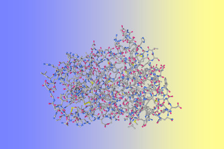 Molecular model of recombinant human interleukin-22. Atoms are represented as spheres with conventional color coding: carbon (grey), oxygen (red), nitrogen (blue), sulfur (yellow). 3d illustrationの写真素材