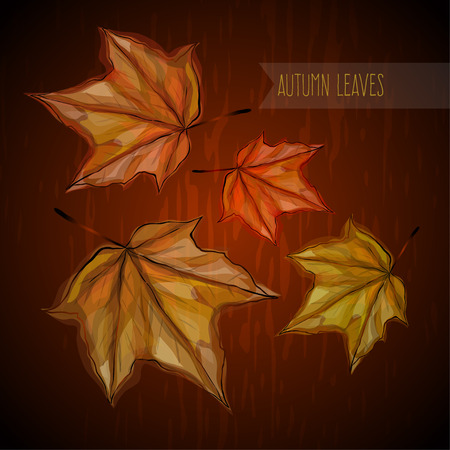 Autumn leavesのイラスト素材