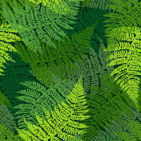 Fern seamless patternのイラスト素材