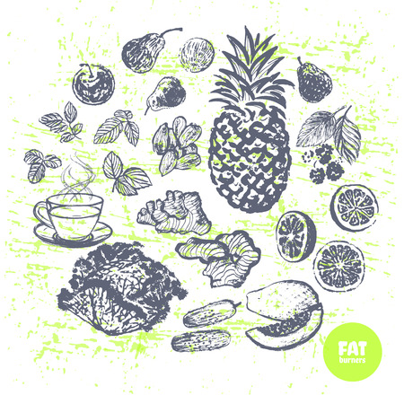 Ink hand drawn fat burners fruits and veggiesのイラスト素材