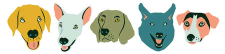 Vector funny muzzles of dogs in different colorsのイラスト素材