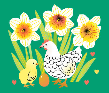Easter vector illustration with hen, egg and chick among blooming daffodilsのイラスト素材