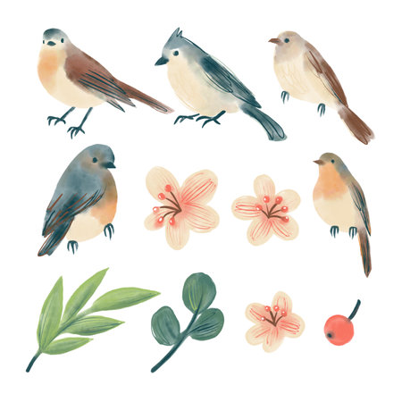 Set of digital watercolor forest birds, twigs and flowersの写真素材